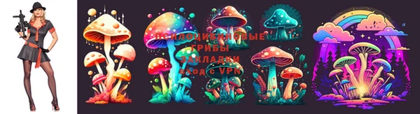 гидропоника Алзамай