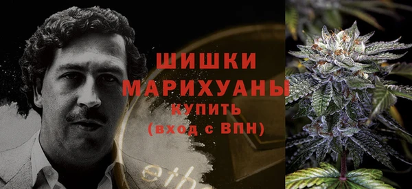 гидропоника Алзамай