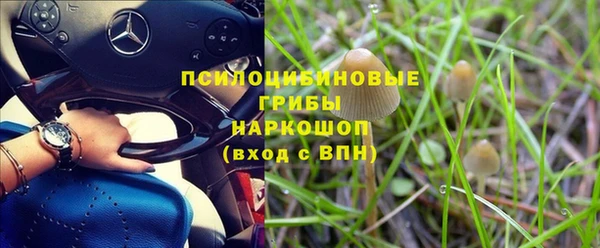 PSILOCYBIN Абинск