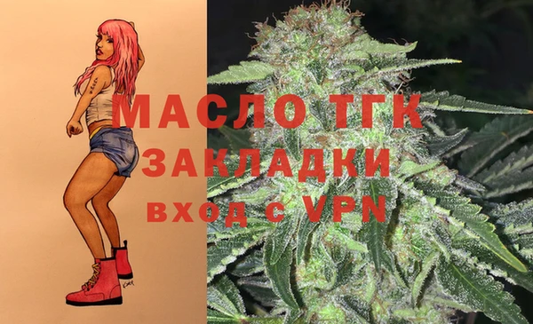 гидропоника Алзамай