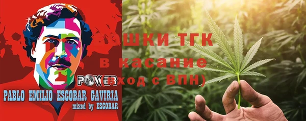 гидропоника Алзамай