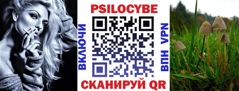 купить наркотики цена  Пугачёв  Галлюциногенные грибы MAGIC MUSHROOMS 